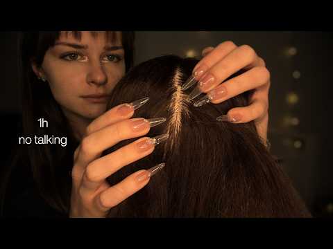1h+ Scratching All Around Your Scalp (No Talking) [ASMR Compilation]
