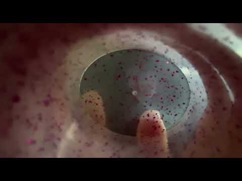 ASMR | Ear check (Hearing test, whisper, follow instructions)