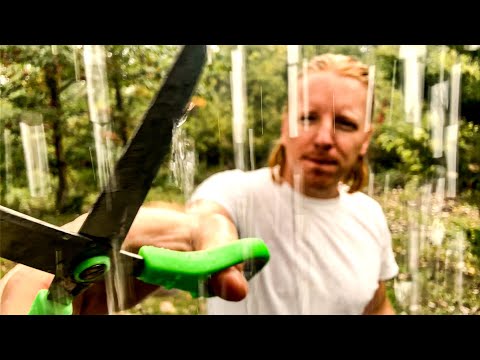 ASMR Barber | Your Hair is Water, and Pop