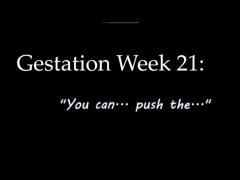"ASMR" "Roleplay": You Explore Kicking Around with Your Twin Sister on the 21st Week in the Womb