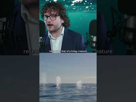 #ASMR What was The Bloop? What exactly caused this noise in the deep sea?