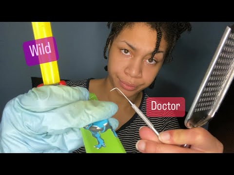 ASMR - Chaotic Doctor (Logan)