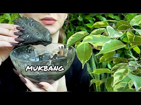 Песчанка с Чародейкой☕// Gerbil with Enchantress// MUKBANG