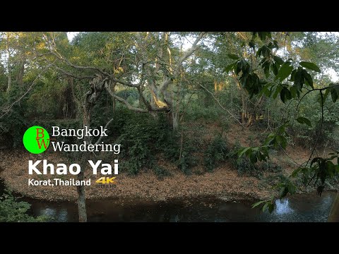 #ASMR #Bangkokwandering [ 4K ] Calming and Relaxing sound | Khao Yai,Thailand