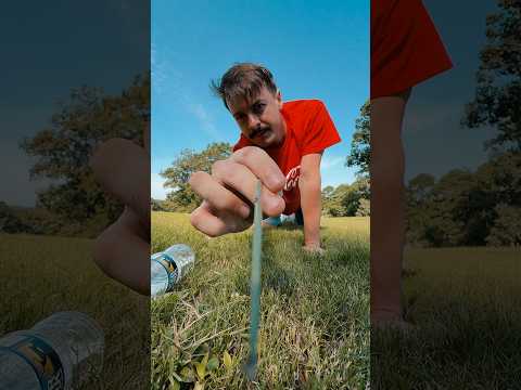 Nature asmr #asmr #raeasmr #visualasmr #upclose #natureasmr #natureambience
