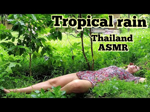 ASMR TROPICAL RAIN ☔ Thailand