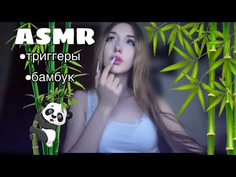ASMR | триггеры + бамбук(интересные факты)