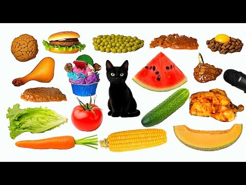 Cat Eating EVERYTHING ASMR Compilation 🍉🥕🥒🍗🌽🧁