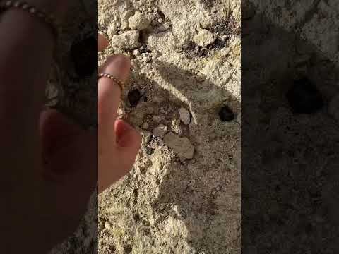 #asmr #asmrnature #tapping #scratching