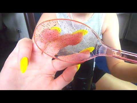 ASMR | Spoon Sounds ~ 💛💗