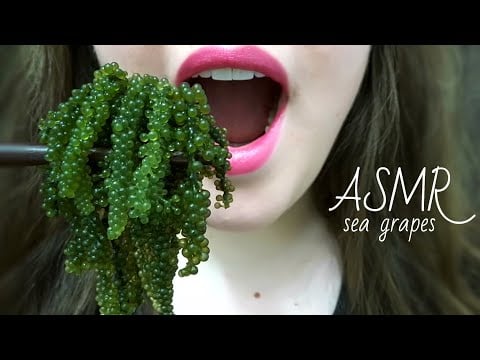 ASMR SEA GRAPES ~ EXTREMELY Satisfying Popping & Crunching Sounds!