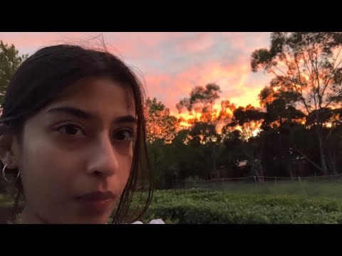 Asmr in dreamy nature 