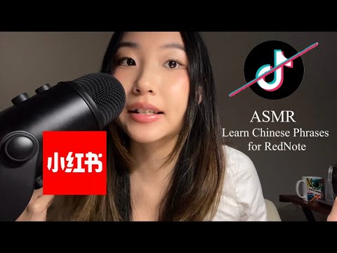 [ASMR] Basic Chinese Phrases to Help TikTok Refugees Navigate RedNote📱
