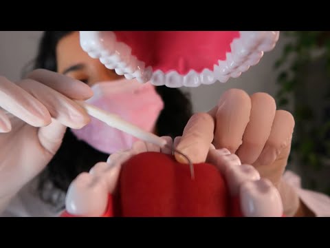 ASMR | ROLEPLAY DENTISTA | LIMPEZA DE DENTES