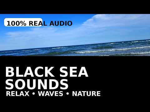 🌊 Real Sounds of Water | Black Sea Waves for Sleep, Relaxation & Meditation