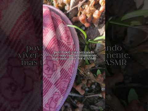 Ignorem (ou não) a minha pantufinha heheheh #asmr