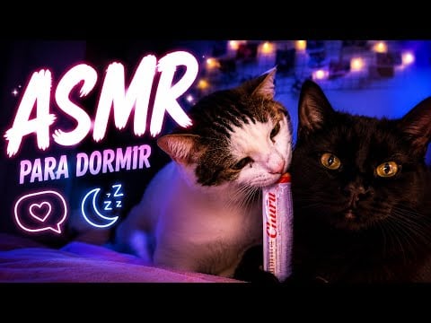 VOCÊ VAI DORMIR EM 5 MINUTOS COM ESSE ASMR 😴🐱| RONRONAR, MUKBANG