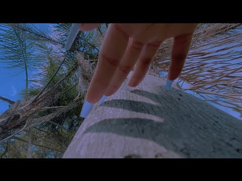 ASMR Fast and Aggressive Scratching/Tapping Down to the Camera ~No Talking