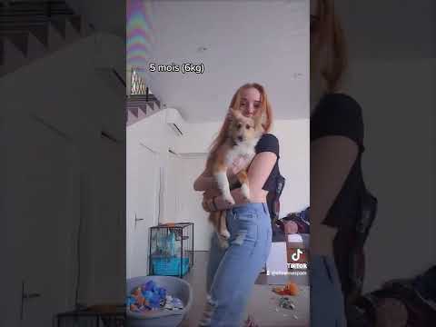 Je vous présente SUN 🌞❤ j'ai filmé chaque mois sa croissance