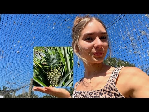 ASMR garden with me