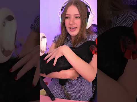 Do you like my dog? 🐕 #asmr 