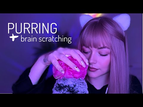 ASMR PURRING & brain scratching to turn it off