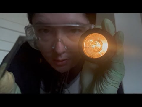 Archeologist RP | ASMR (flashlight, measuring, soft spoken examination)