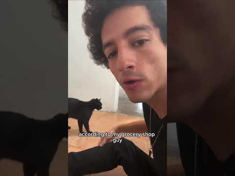I have a new friend… 🐈‍⬛ his name is Scott! #cat #love #abandoned #trending (2 minute version)
