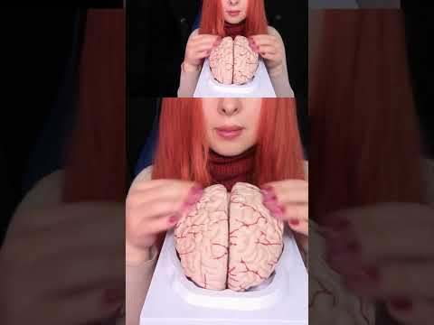 ASMR Most Tingly Brain Massage Ever (No Talking) #shorts