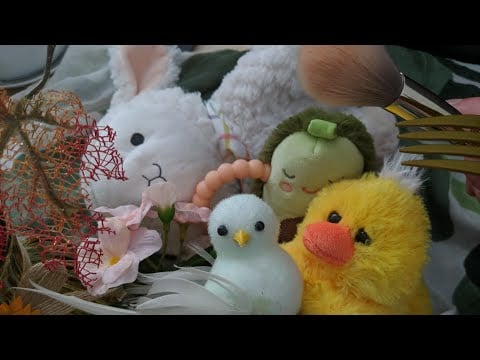ASMR Fast and Aggressive Cleaning & Personal Attention to Inanimate Objects