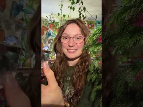 🌜🌲🧚🏼What is your favorite weather and what is your weather like now?🧚🏼🌲🌛