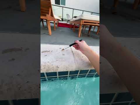 random pool asmr tapping and whispers #asmr #relax #asmrwhisper #poolasmr #positiveasmr