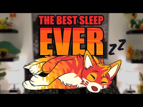 This FURRY ASMR will be the BEST sleep of your life 💤 (1 Hour)