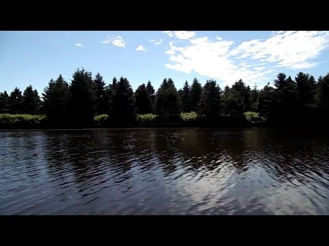 ASMR Boating Down the River (with Music, No Talking)