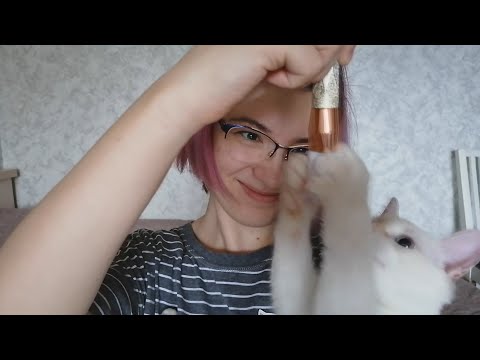 ASMR with my cat