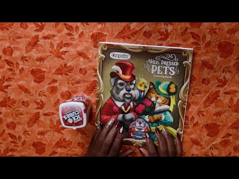 Well Dressed Pets ASMR Page Turning