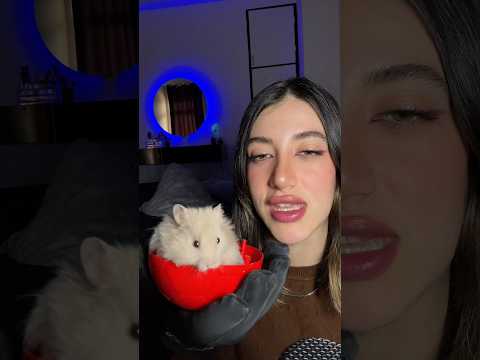 😅😂😂😱#asmr #shorts #animals