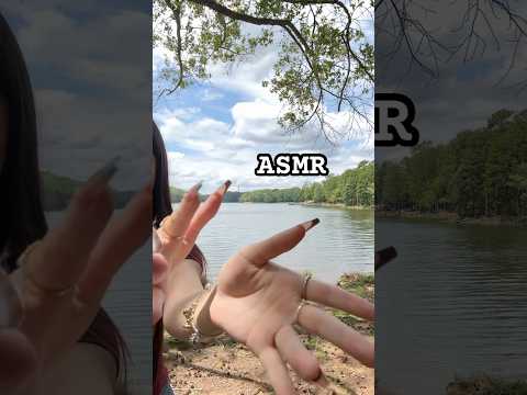 Jitter Tries Slow & Hypnotizing ASMR ✋✨ #handmovements #asmr #tingles #sleep #visuals #whispering