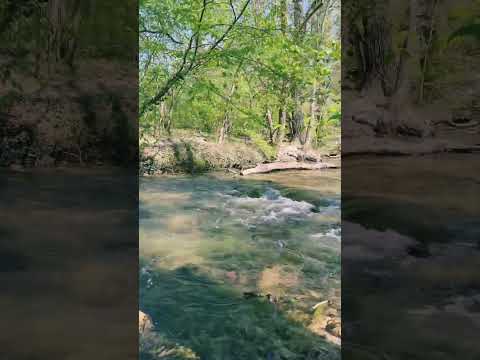Sounds of Nature 🌱🕊️ #relax #asmr #nature