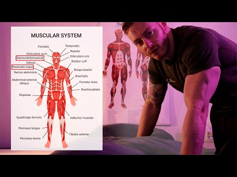 Massage for tight muscles | ASMR - Ambient Music - Whispering