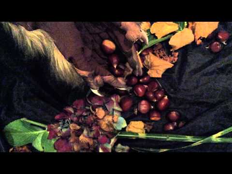 [ ASMR ] " Lycanthrope claws "
