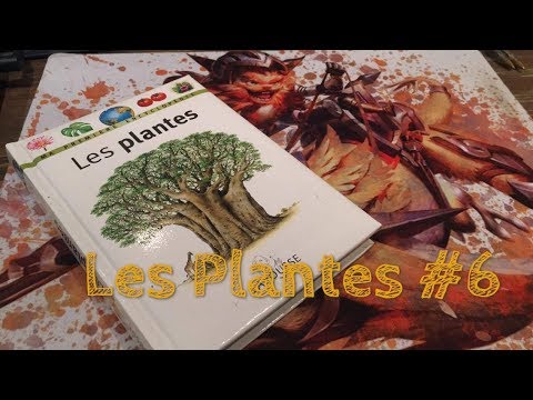 ASMR FR :  Les arbres 6 ( dernier )