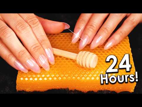 Welcome to Beeswax Honeycomb ASMR Heaven