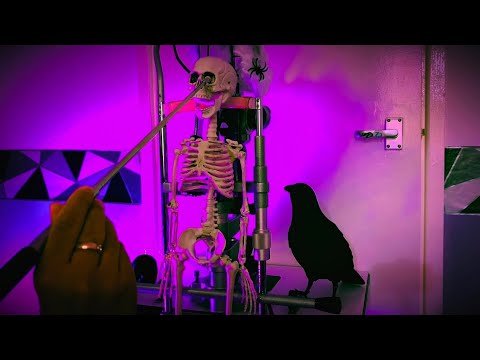 [ASMR] Halloween Skeleton Medical Exam