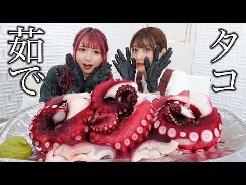 【モッパン風ASMR】ゆでだこ