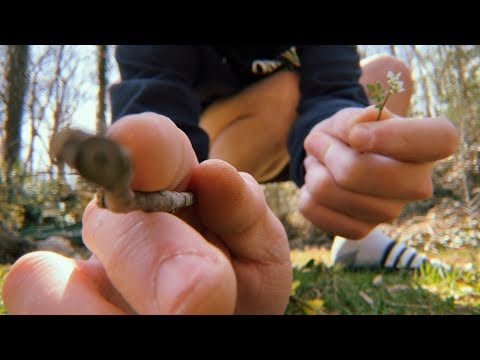[LOFI ASMR] Pre-Spring Visual ASMR Triggers | Tracing, Nature Sounds, Hand Movements 