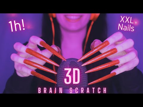 Asmr Mic Scratching - Brain Scratching | Brain Melting Asmr No Talking for Sleep with Long Nails 1H