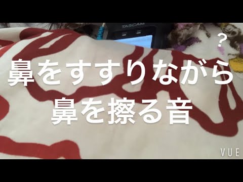 ASMR みんな花粉症頑張ってね【request move】