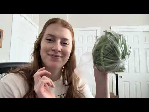 ASMR Grocery Haul - tapping, whispering, crinkling