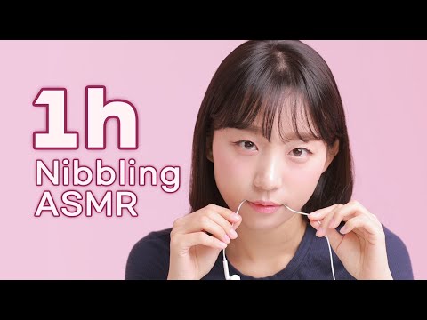 ASMR🎤1HOUR mouth sounds👅1시간 마이크 릭킹 사운드 ! [표은지 ASMR]